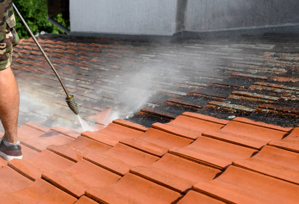 Best Affordable Pressure Washing  in Hattiesburg, MS