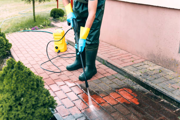 Best Exterior Home Cleaning  in Hattiesburg, MS
